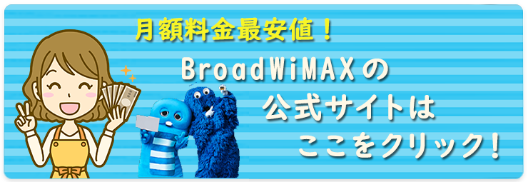 BroadWiMAX